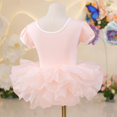 Stardore Puff Sleeve Tulle Dress