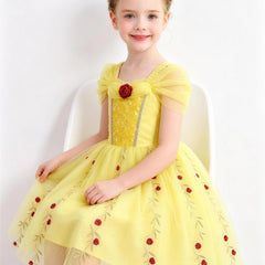 Qavira Rose Garden Princess Dress