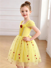 Qavira Rose Garden Princess Dress