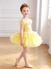 Tavora Enchanted Rose Dress