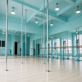 Velorix Permanent Dance Pole