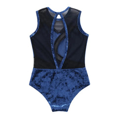 Rosene Mesh Velvet Leotard