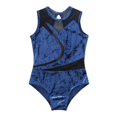 Rosene Mesh Velvet Leotard