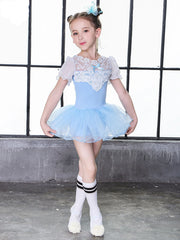 Fairarie Lace Princess Tutu Dress