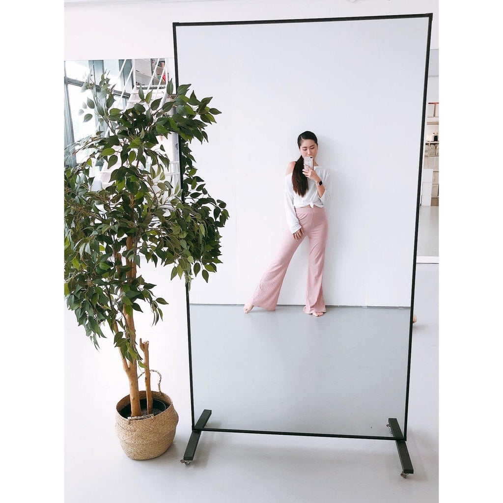 Free Movement Solutions Shatterproof Mirror on Wheels Free Movement