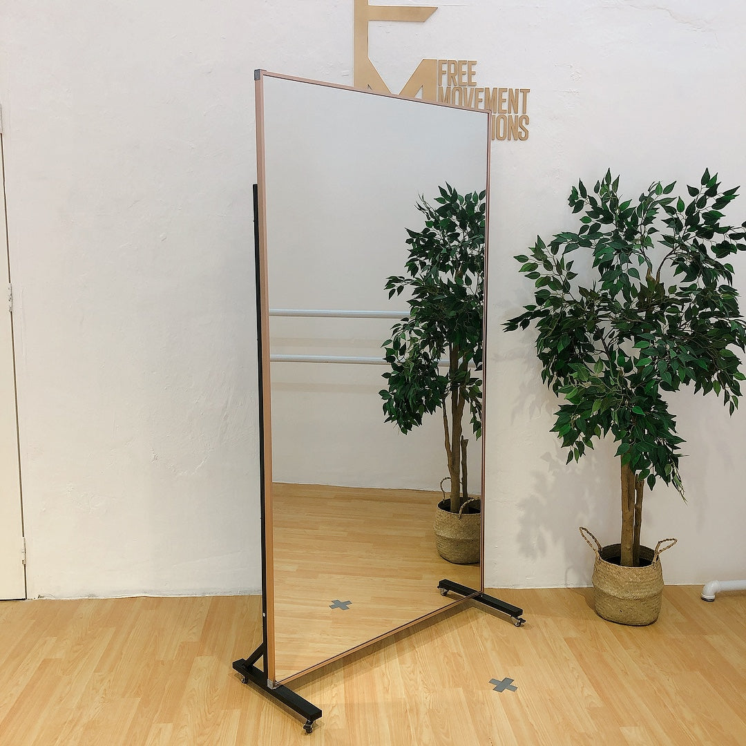 Shatterproof Framed Mirror on Wheels Shatterproof Framed Mirror on Wheels
