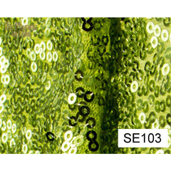 Sequin Mesh Fabric