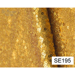Sequin Mesh Fabric