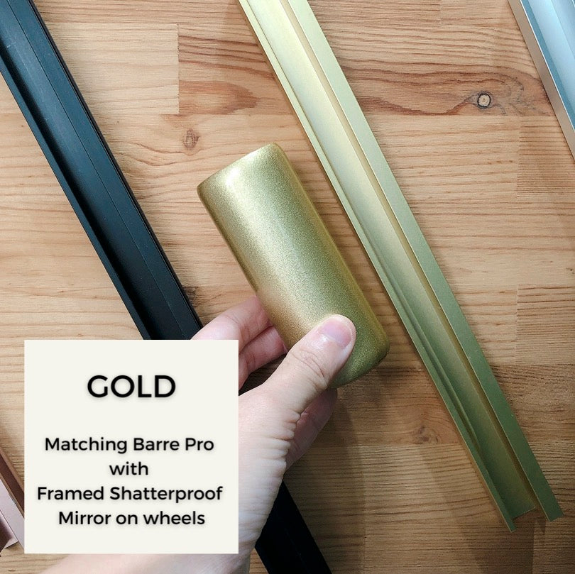 Shatterproof Framed Mirror on Wheels Shatterproof Framed Mirror on Wheels