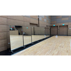 Shatterproof Frameless Mirror on Wheels