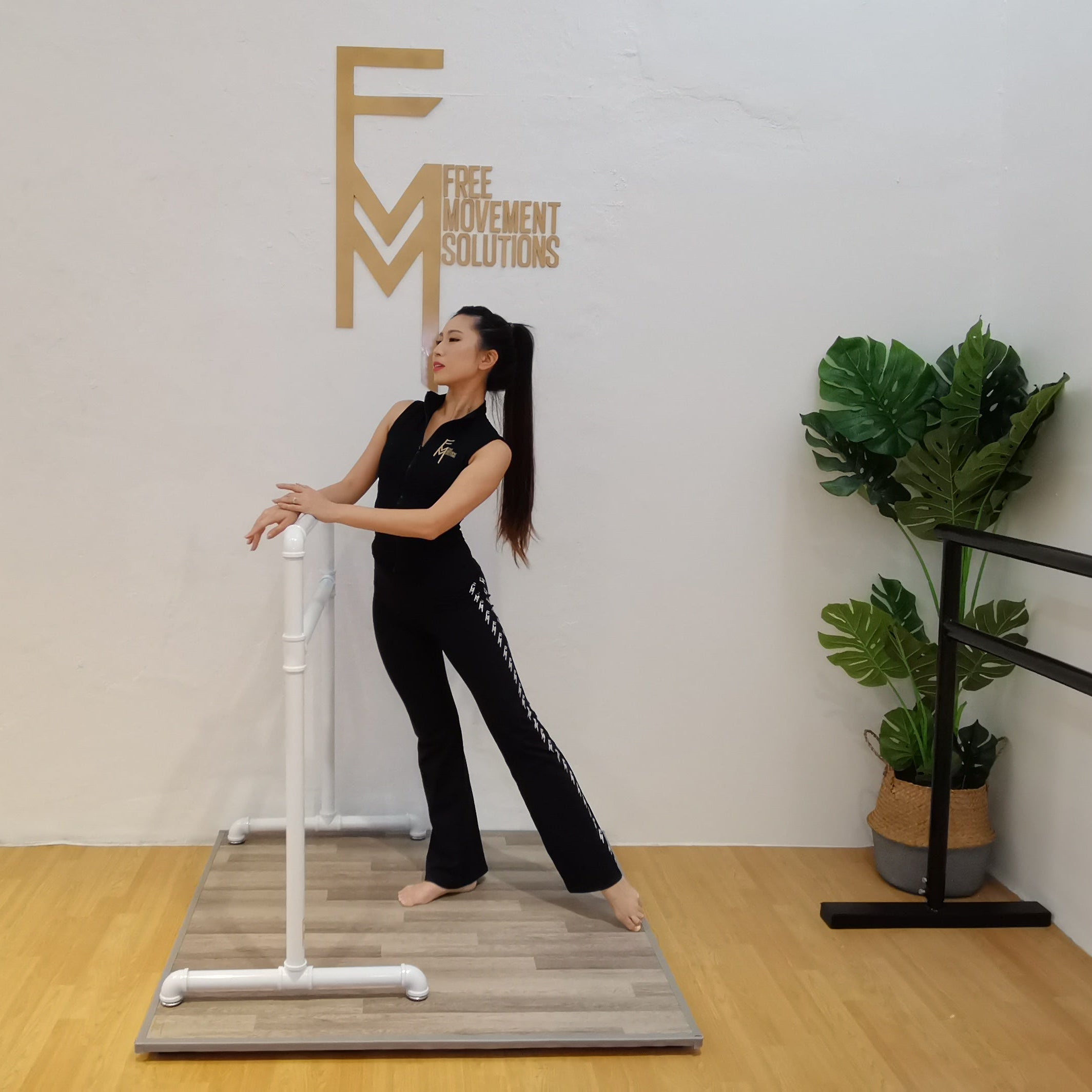 Limitless Sprung Floor with Marley Mat