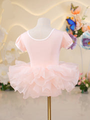 Stardore Puff Sleeve Tulle Dress
