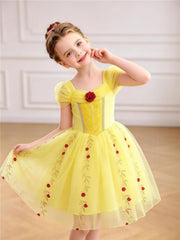 Qavira Rose Garden Princess Dress