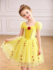 Qavira Rose Garden Princess Dress