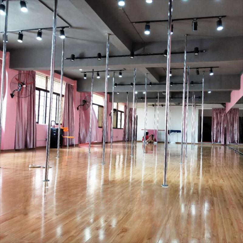 Velorix Permanent Dance Pole