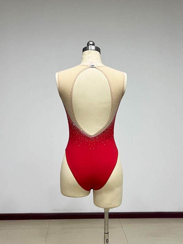 Moryavelle Crystal Mesh High-Rise Leotard
