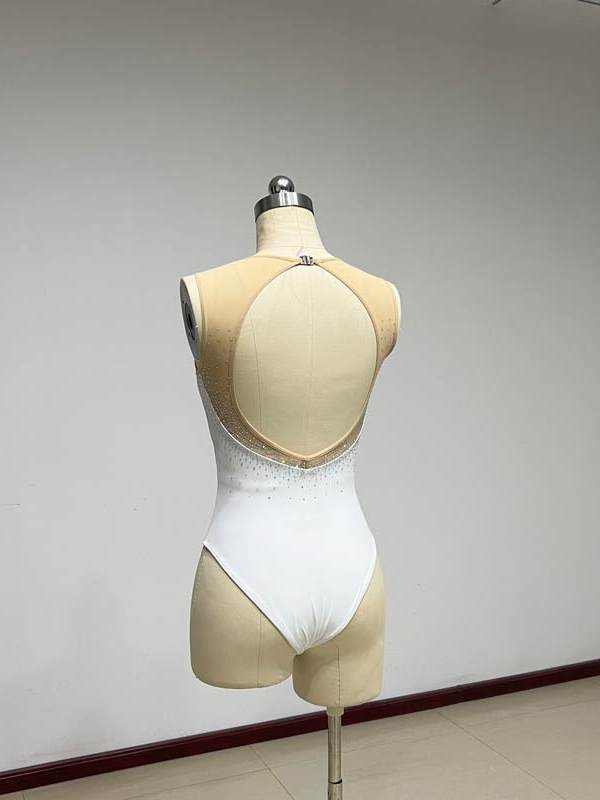 Moryavelle Crystal Mesh High-Rise Leotard