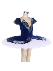 Oryavelle Embellished Tulle Tutu Costume
