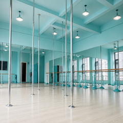 Velorix Permanent Dance Pole