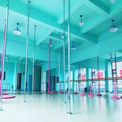 Velorix Commercial Permanent Dance Pole