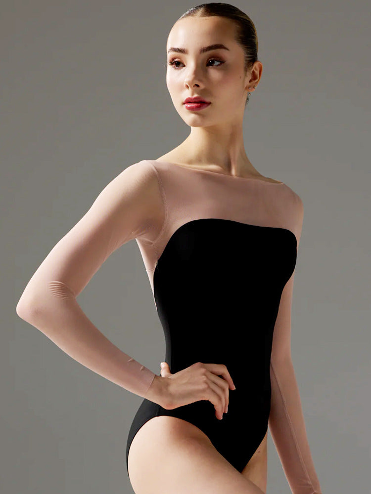 Delmira Sheer Mesh Long Sleeve Leotard