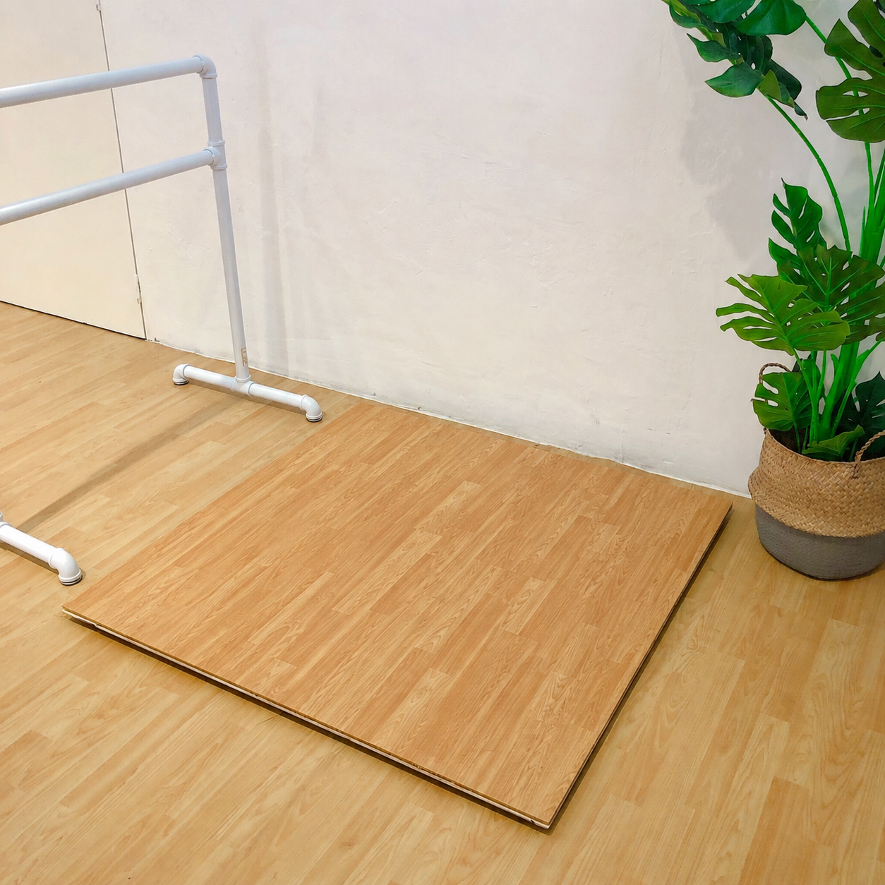 Limitless Sprung Floor with Marley Mat