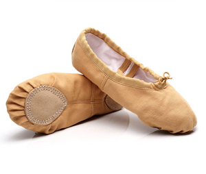 Split Sole Canvas Ballet Shoes